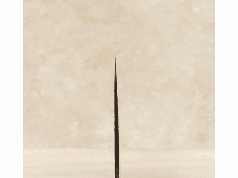 Daovua 52100 Kiri Cleaver 180mm