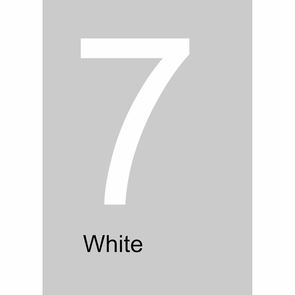 Large White House Numbers