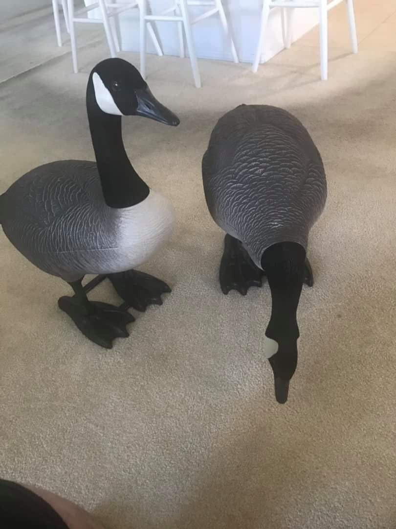 Geese Statues For Garden at John Thornton blog