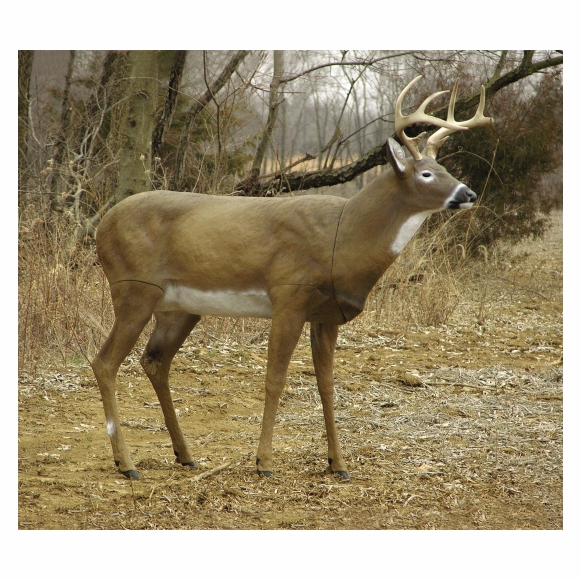 Realistic Whitetail Deer Statue Buck Decoy