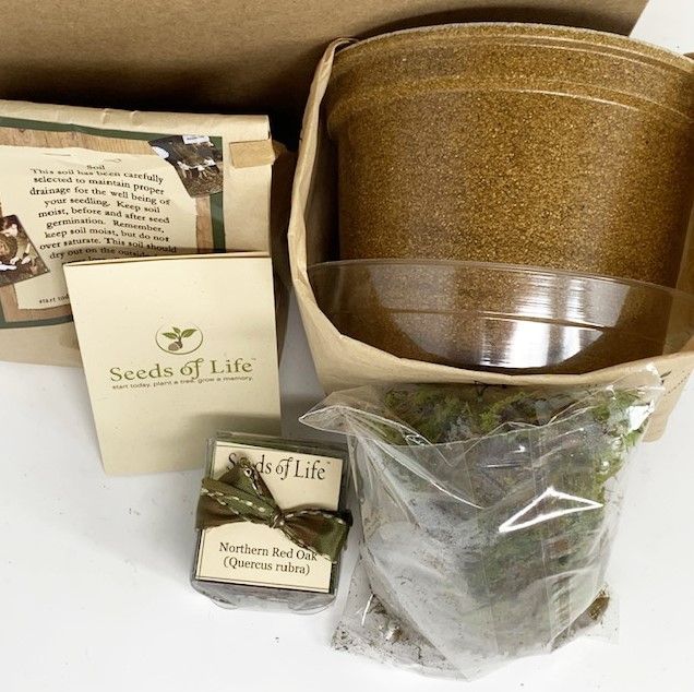 Sympathy Tree Seeds Of Life Kit Includes Pot, Soil, Oak Seeds, and
