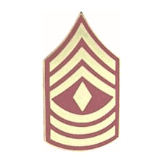 First Sergeant Pin Sgt. Stripes Pin (Gold) - US Marine Corps Rank Pins - PriorService.com