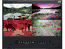LCDR9U21-01 21 Inch Full HD 1080p Quad Display Monitor 9RU, TAA Compliant