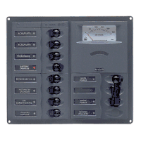 BEP AC Circuit Breaker Panel with Analog Meters, 8SP 2DP AC120V Stainless Steel