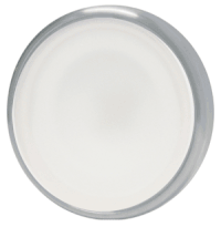 Lumitec Halo Down Light, Brushed Housing, White Light 112803