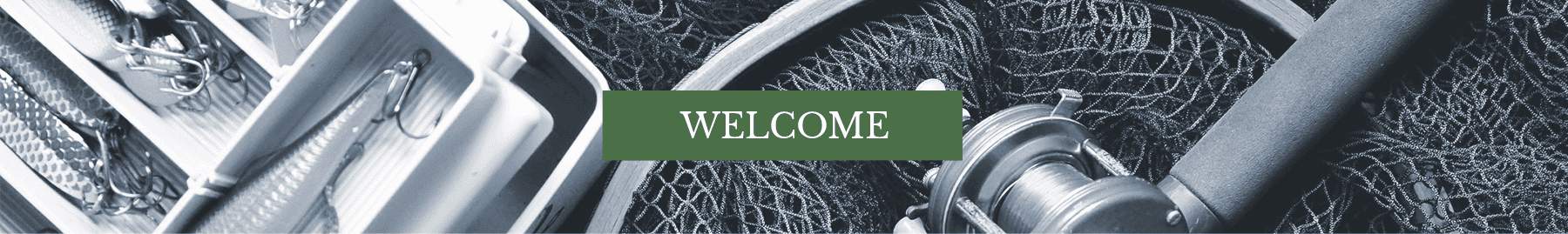 Contact Us - Welcome