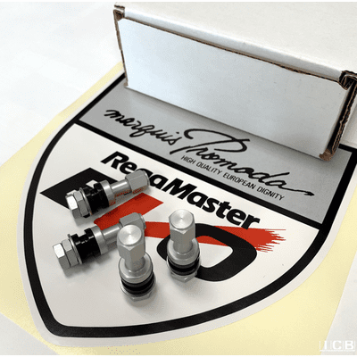 Desmond EVO and II Valve Stems Anodized Silver Set (4 Valve Stems)