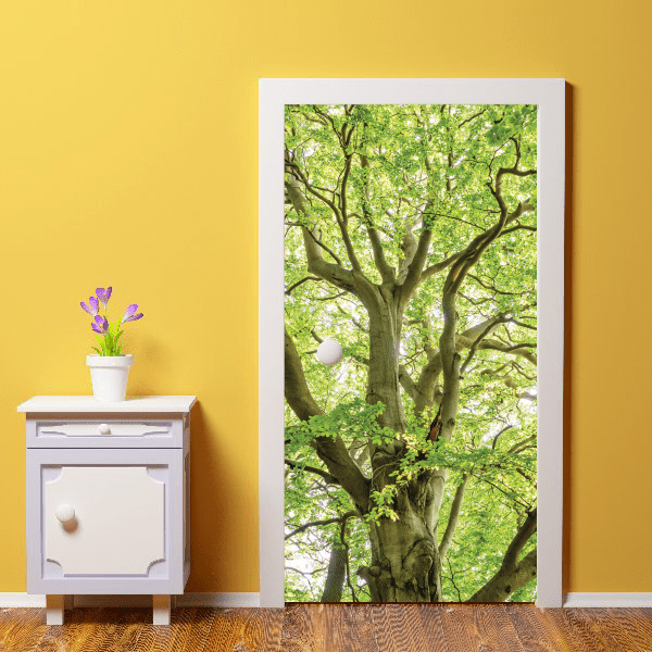 Adhesive Vinyl Door Wraps