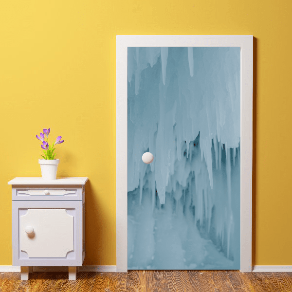 Adhesive Vinyl Door Wraps