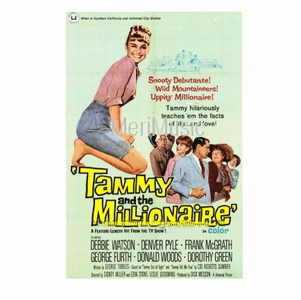 Tammy and the Millionaire 1967 on DVD