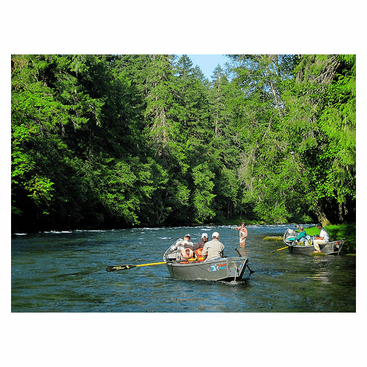 McKenzie River Guided Fly Fishing Trip