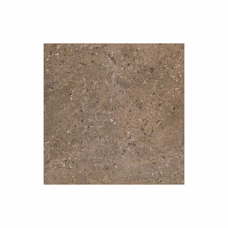 Daltile Dignitary Herald Brown 12 x 24