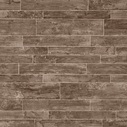 Daltile Season Wood Autumn Wood 24" x 48"