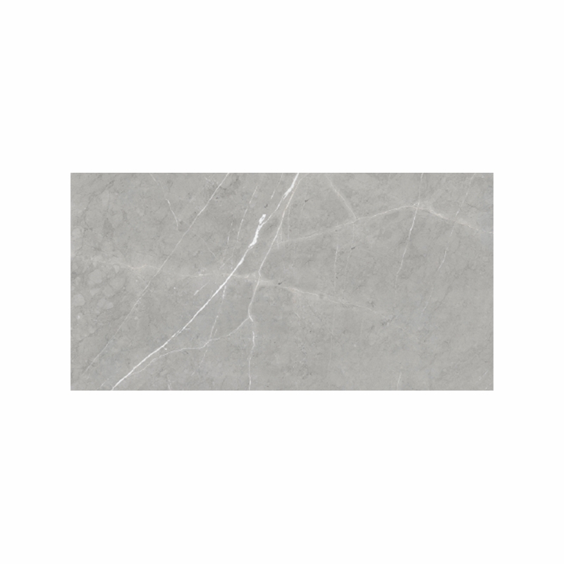Eleganza Precious Marble Silver Grey Matt 12" x 36"