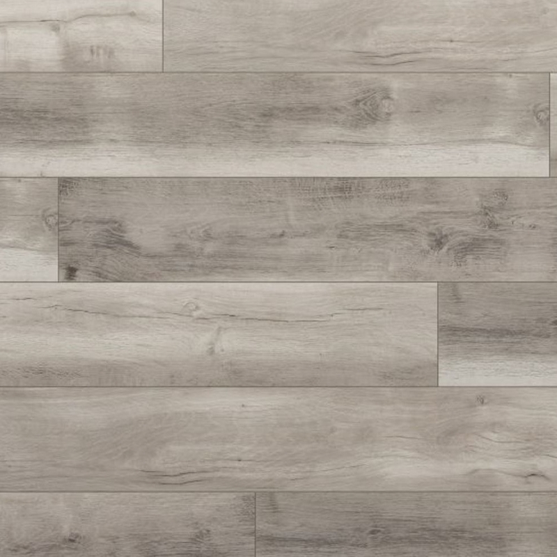 Evoke Surge Coastal Carissa