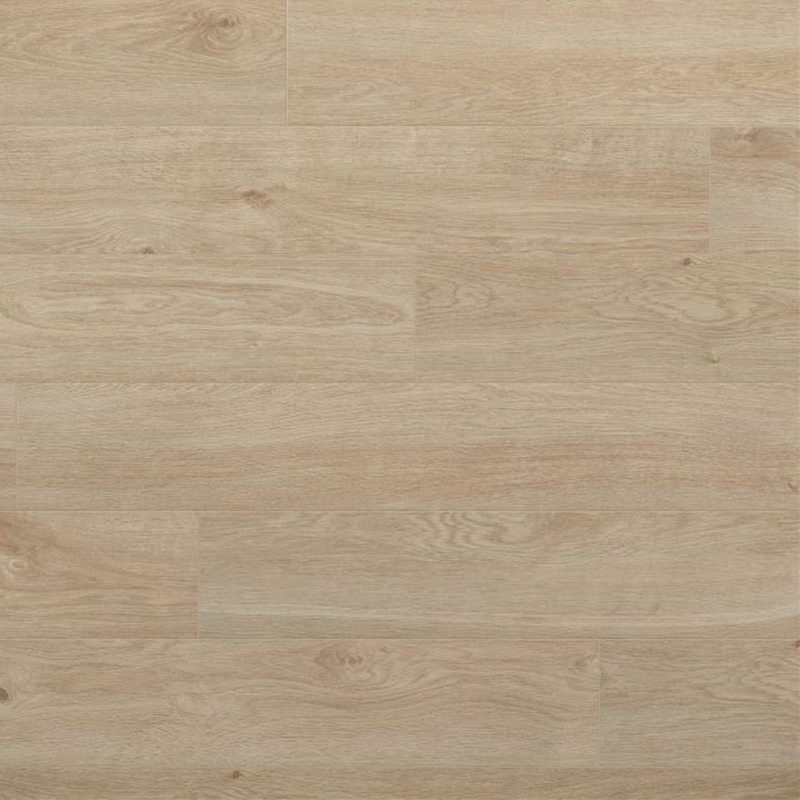 Evoke Surge Coastal Frieda