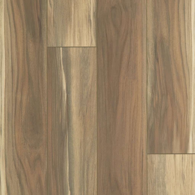Floorte Adventure HD Plus Accent Phoenix