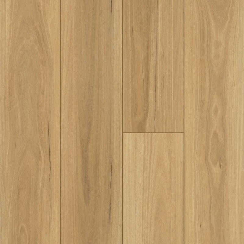 Floorte Distinction Plus Eucalyptus