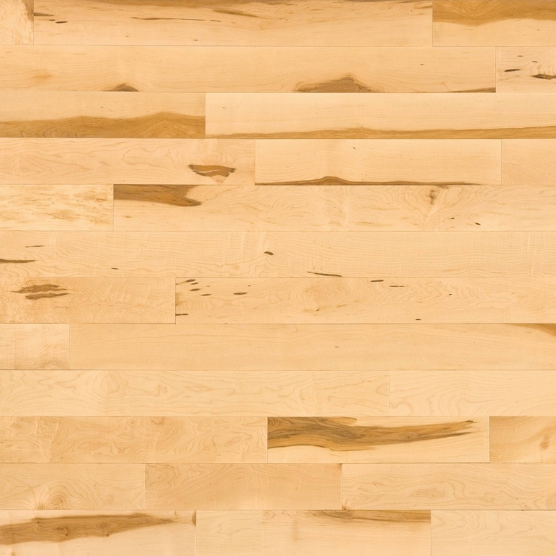 Lauzon Hard Maple Amaretto Solid 3-1/4"