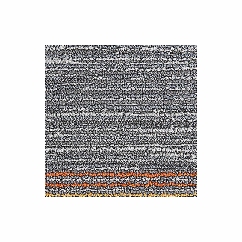 Mohawk Seismic Wave Coastal