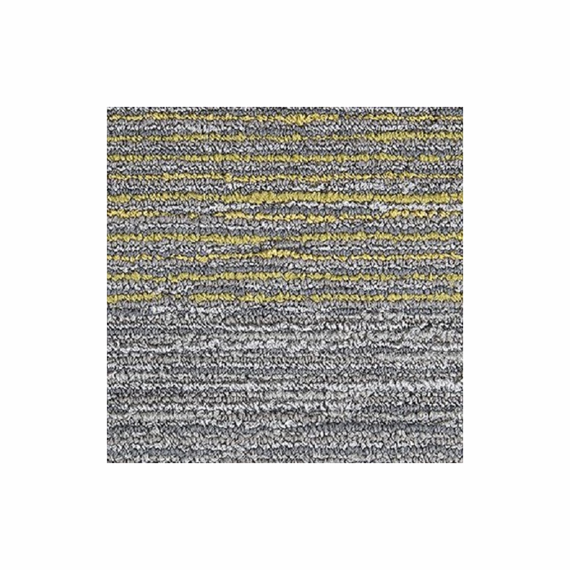 Mohawk Seismic Wave Fossil
