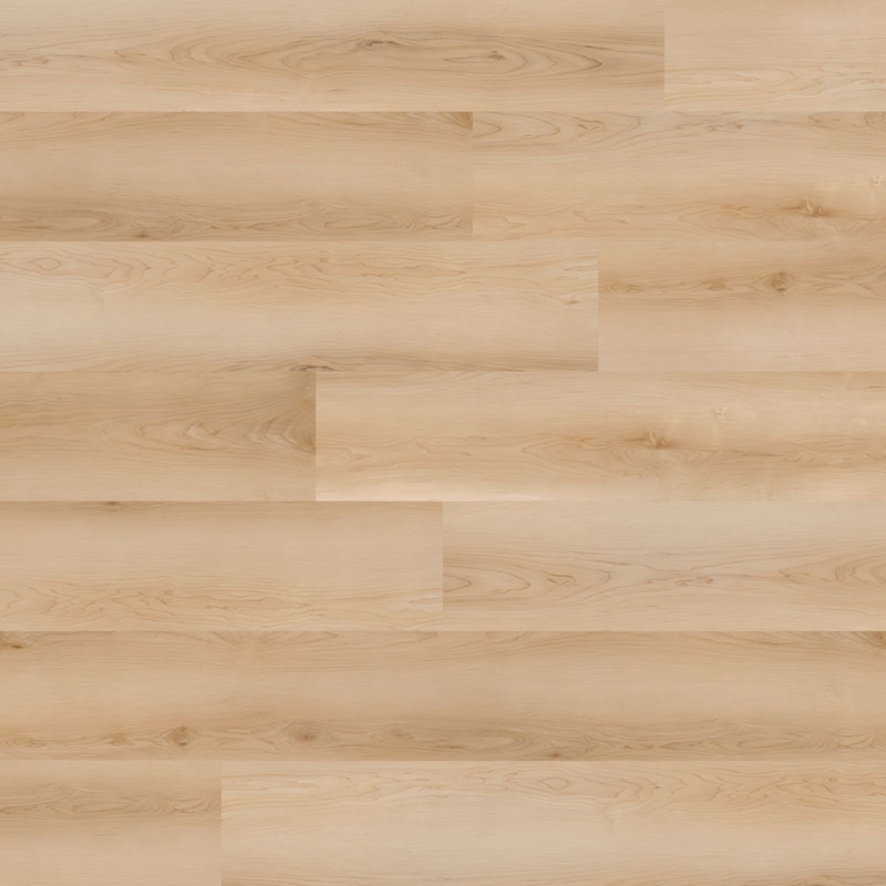 Nova Floor Dansbee Contemporary Maple Laguna