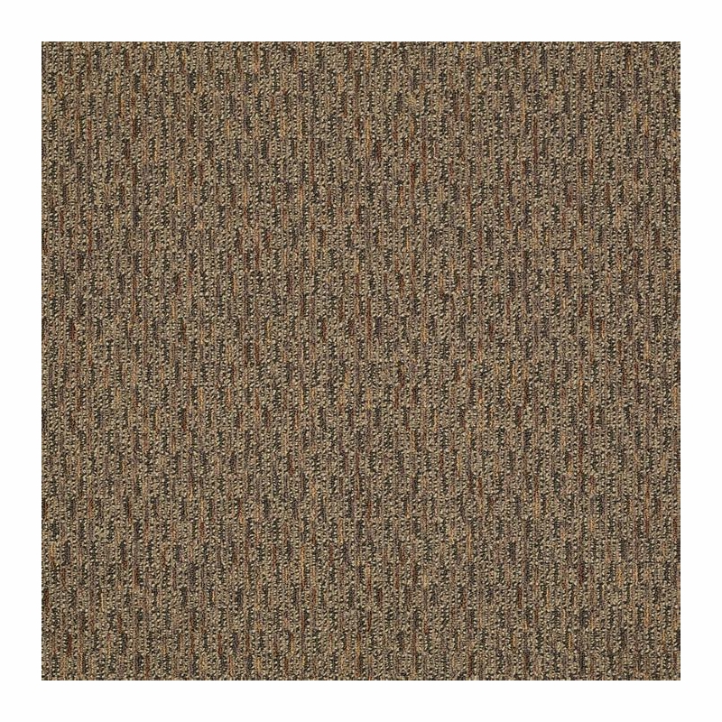Patcraft Approach Novel Carpet