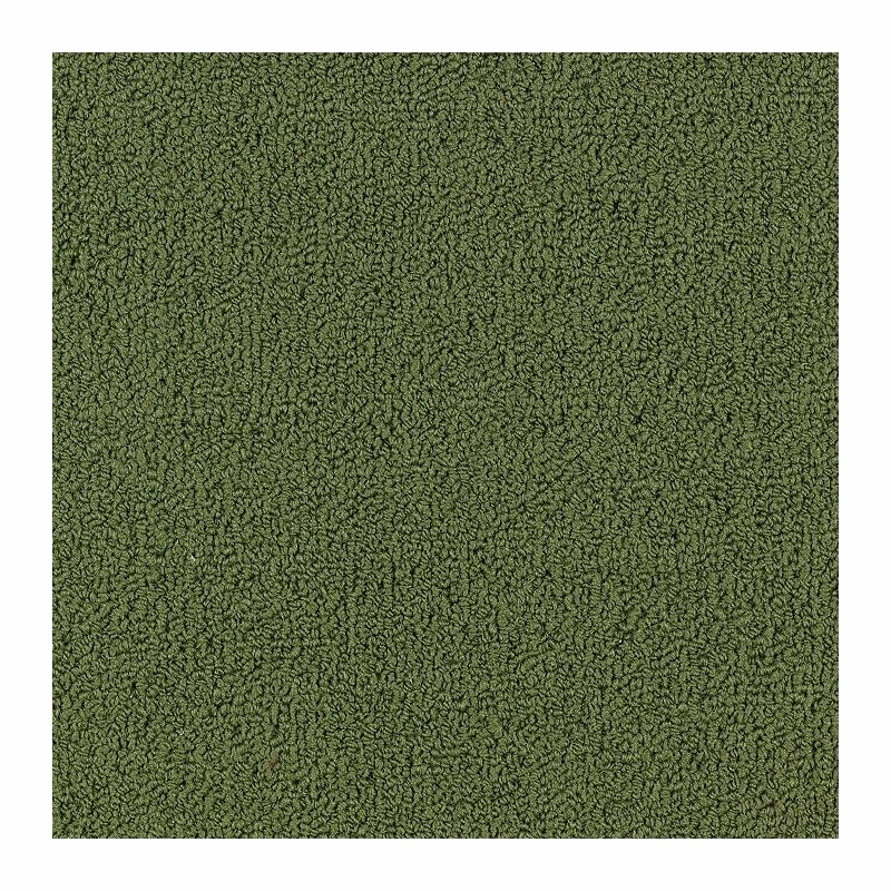 Patcraft Color Choice Cactus Carpet