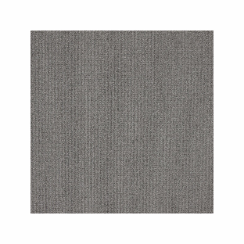 Patcraft Color Choice Dolphin Carpet Tile