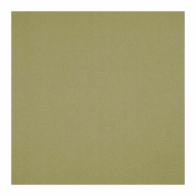 Patcraft Color Choice Fescue Carpet