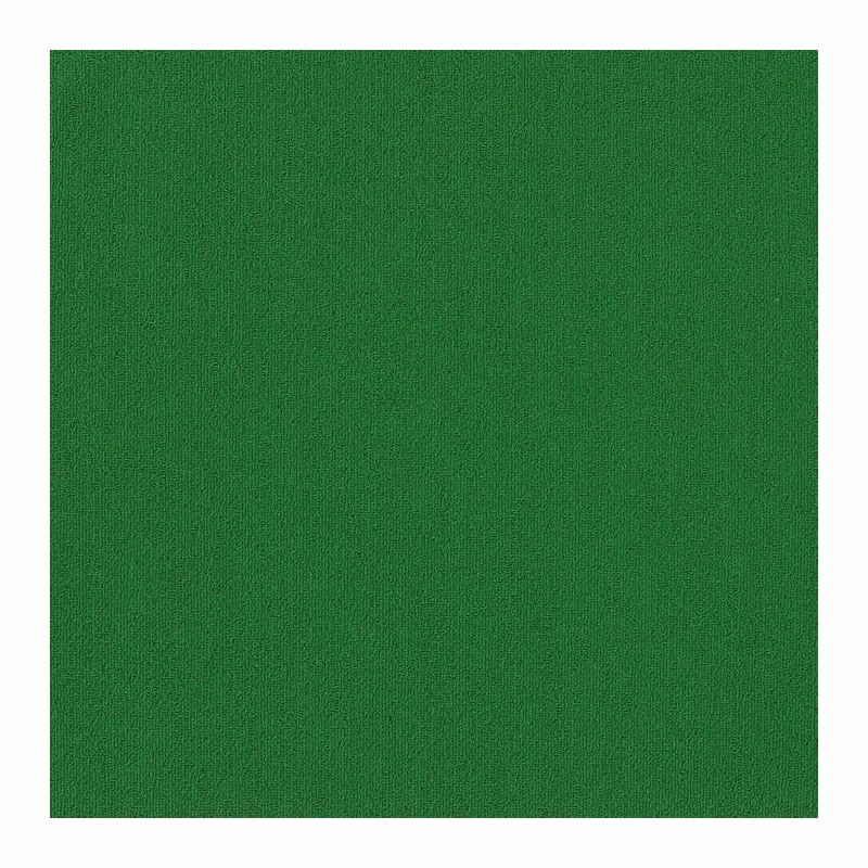 Patcraft Color Choice Ireland Carpet