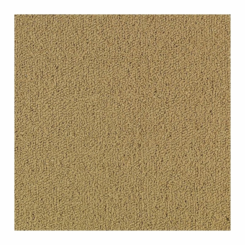 Patcraft Color Choice Pecan Carpet