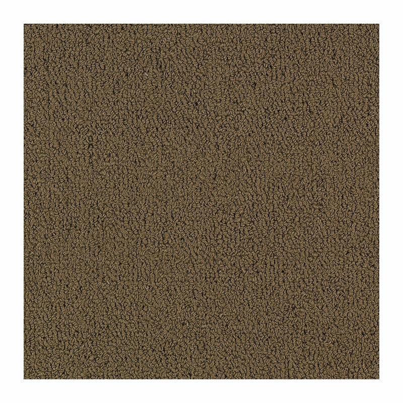Patcraft Color Choice Suede Carpet