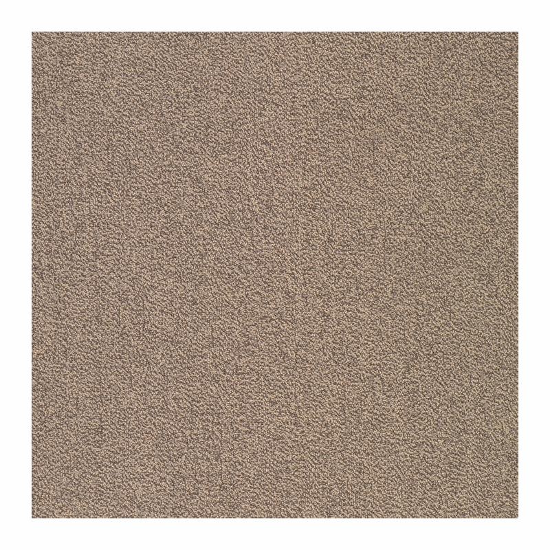 Patcraft Color Your World Color By Number Carpet