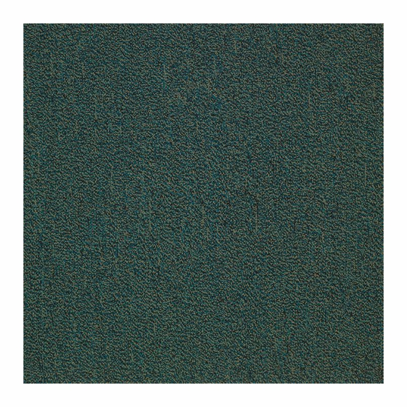 Patcraft Color Your World Color Copy Carpet