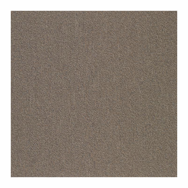 Patcraft Color Your World Color Forecast Carpet Tile