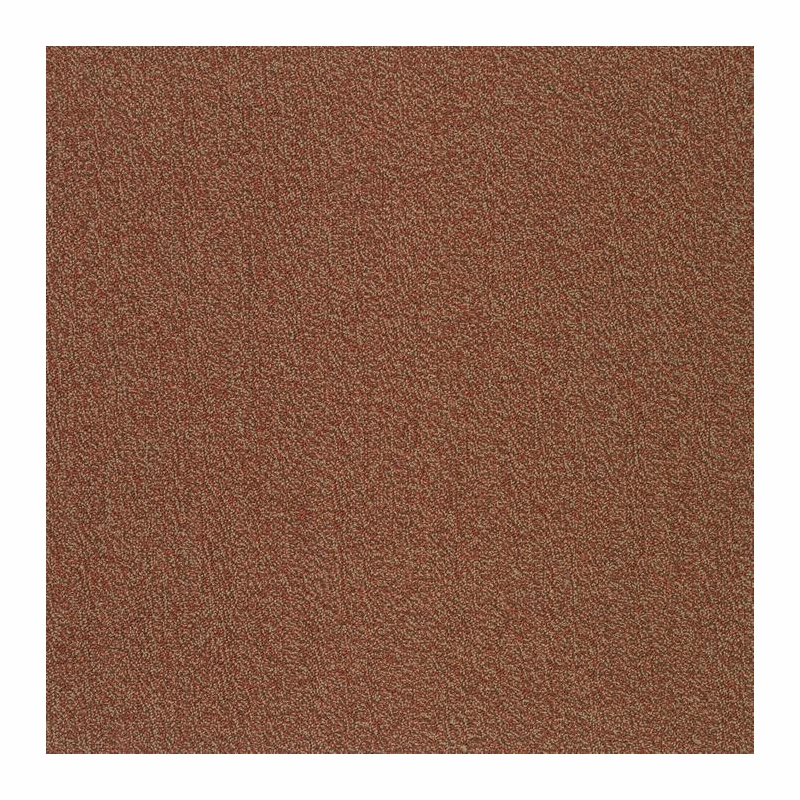 Patcraft Color Your World Color Monitor Carpet