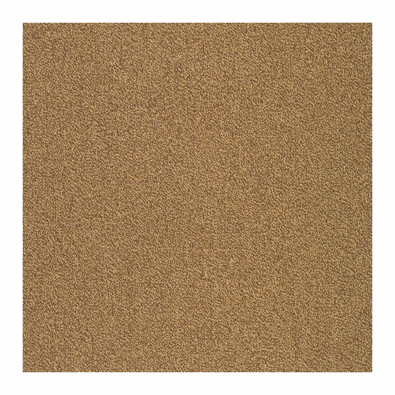 Patcraft Color Your World Color Scheme Carpet