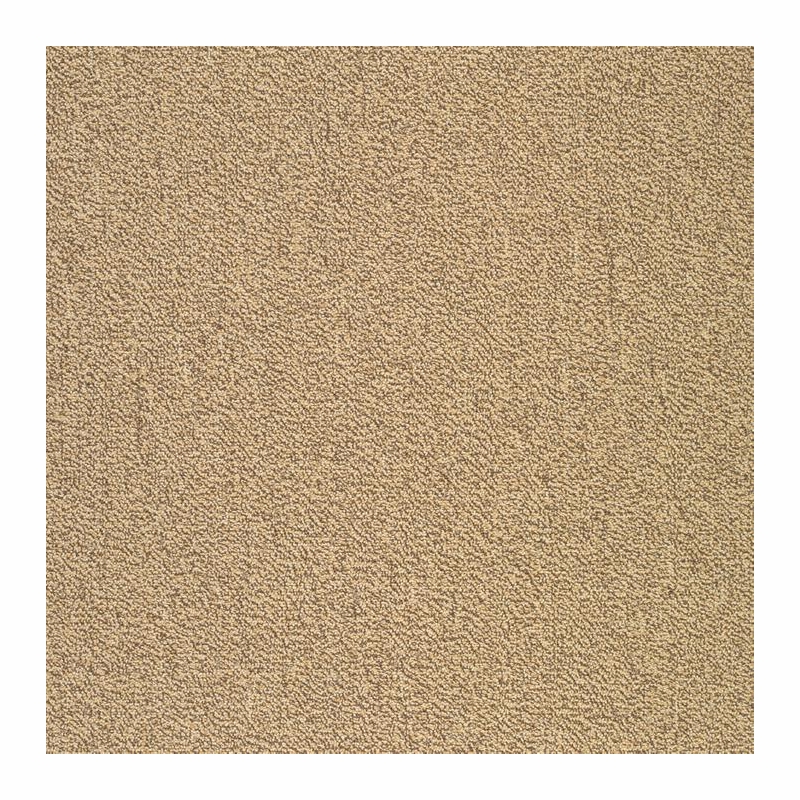 Patcraft Color Your World Color Theory Carpet Tile