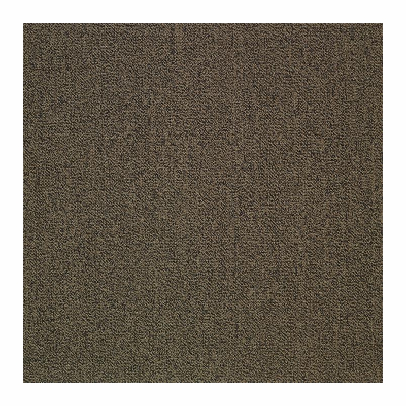 Patcraft Color Your World Color Trend Carpet