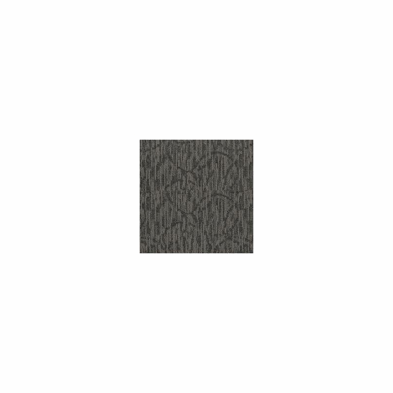 Patcraft Exquisite Debonair Carpet Broadloom