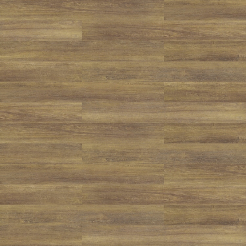 Patcraft Longitude Morel