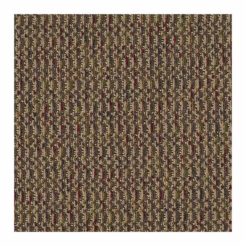 Patcraft Night Moves Hoots & Chirps Carpet