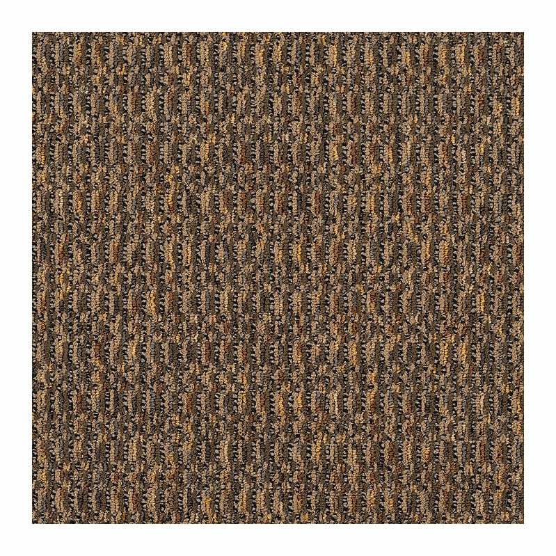 Patcraft Night Moves Lions Tigers & Bears Carpet