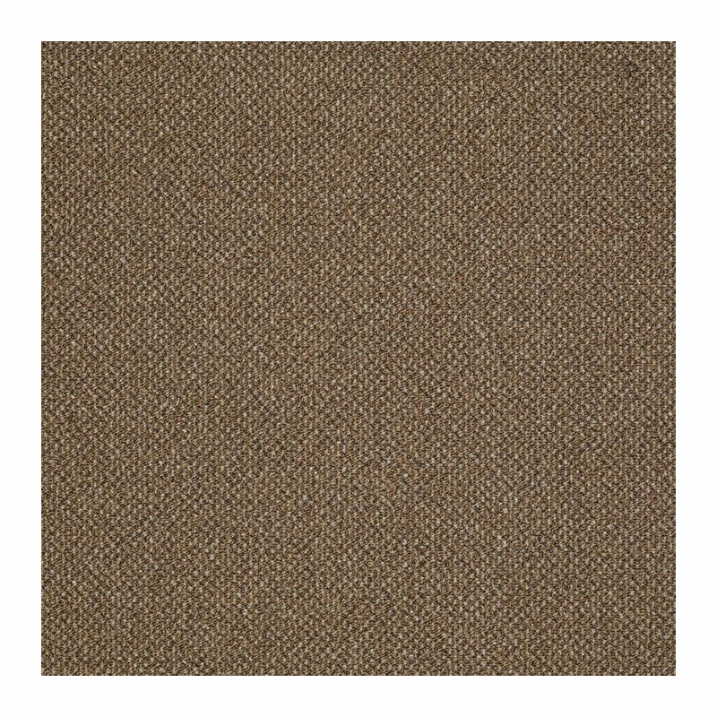 Patcraft Pace Cantor Carpet