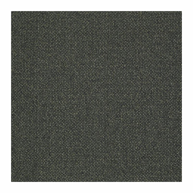 Patcraft Pace Gallop Carpet