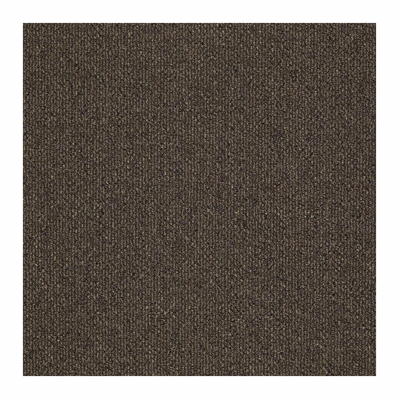 Patcraft Pace Saunter Carpet