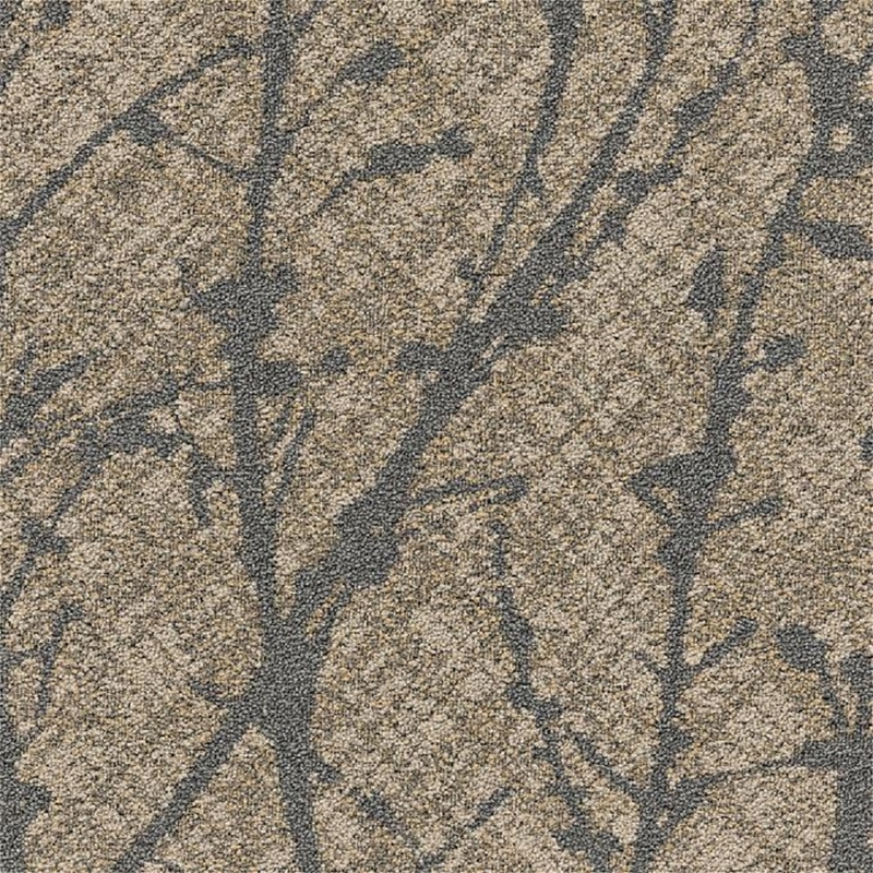 Patcraft Palma Dorado Broadloom
