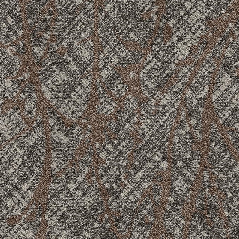 Patcraft Palma Moho Broadloom