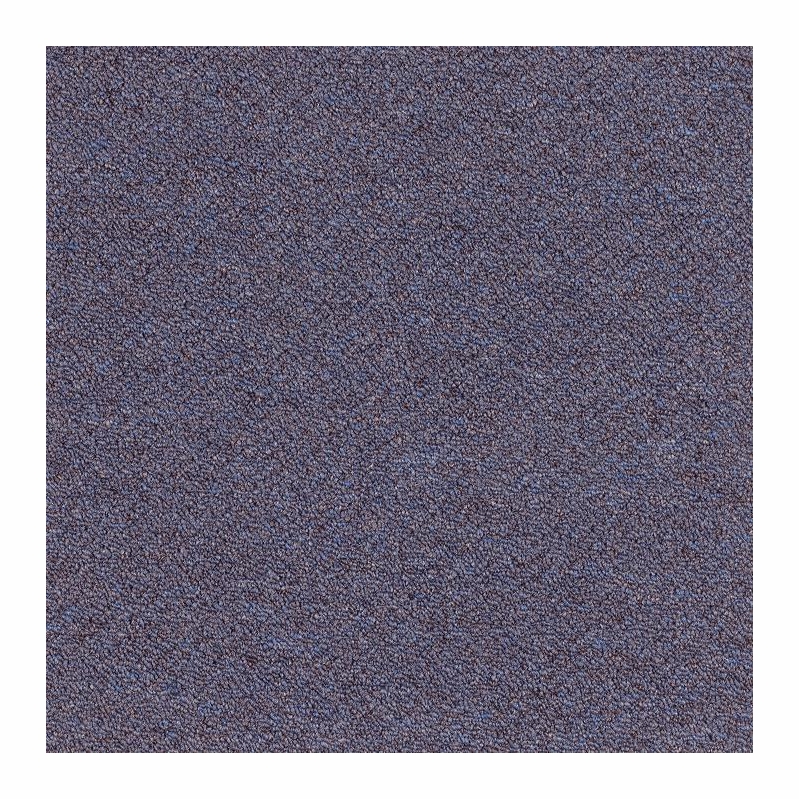 Patcraft Scholastic II 26 Academic Probation Carpet